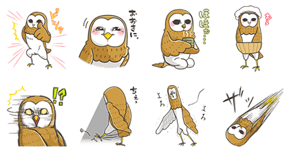 Fukuko-san